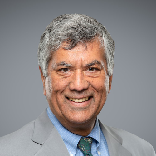 Raj Anand